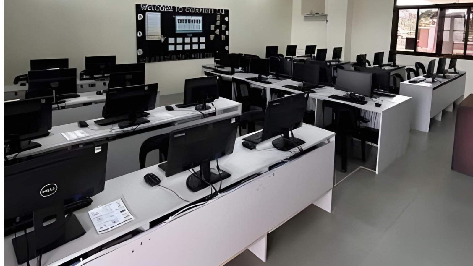 Section 3 Project Visual